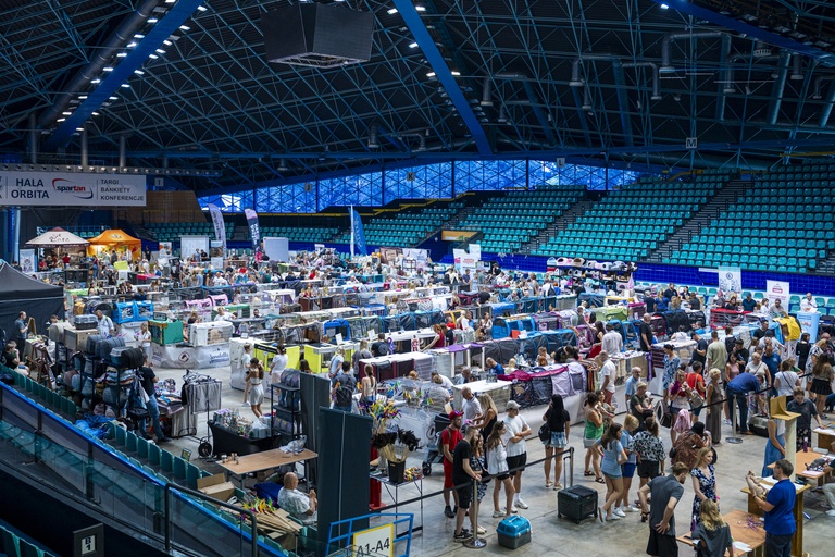 Międzynarodowa wystawa kotów rasowych w hali Orbita we Wrocławiu, 7-8 września 2024